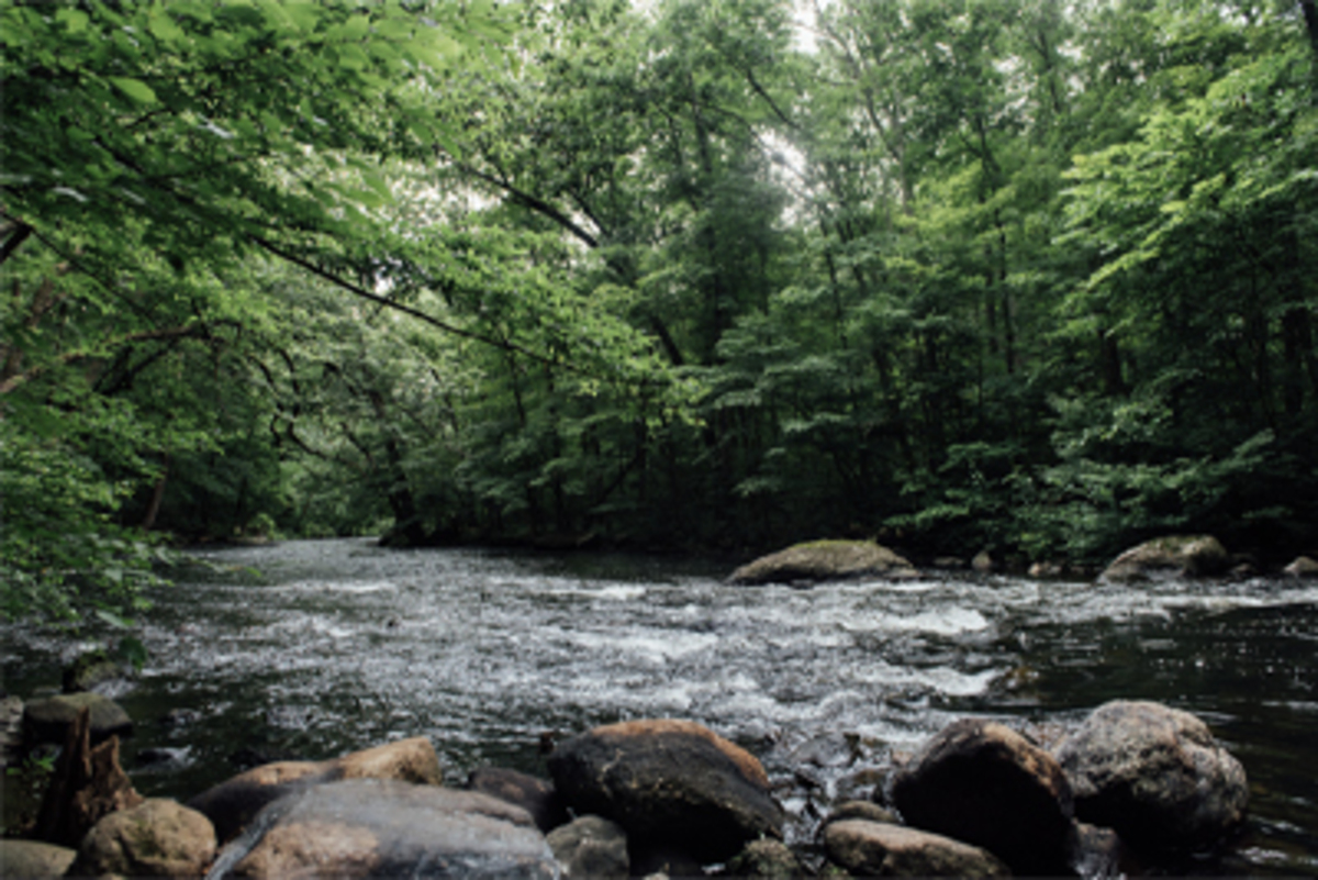 Campsites in New Jersey